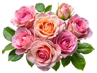 bouquet of pink roses