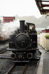 Fototapeta premium a vintage working steam locomotive train of the Ffestiniog Railway, Porthmadog, Wales
