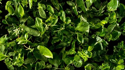 Falling herbs leaves, isolated on black background.