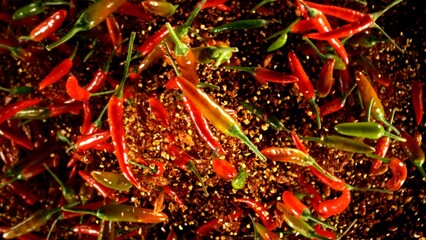 Group of coloured chilli peppers flying on black background.