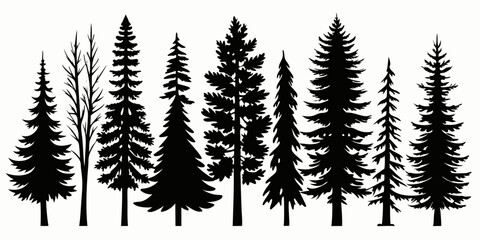 Pine tree silhouettes set. christmas silhouette set, wild nature trees templates set. Vector illustration woodland trees set