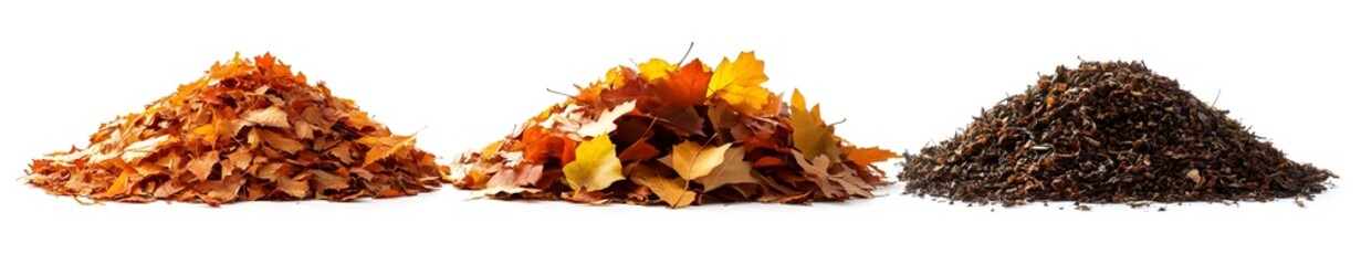 Obraz premium Three Piles of Autumn Leaves.