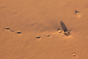 Sahara dunes, sand, North Africa