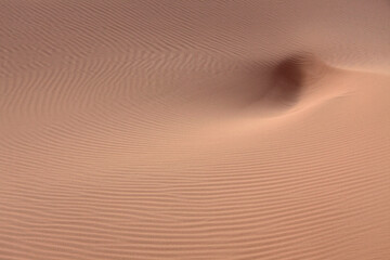 Sahara dunes,near Morocco, North Africa