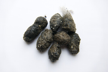 Close-up of a group of seven owl pellets against a white background. From a barn owl (Tyto alba).