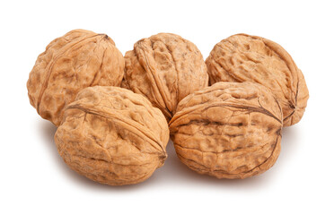 walnuts path isolated on white