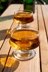 Tasting of french apple cider brut in glass made from new harvest apples outdoor in sunny orchard