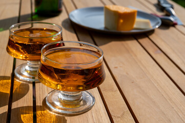 Tasting of french apple cider brut in glass made from new harvest apples outdoor in sunny orchard
