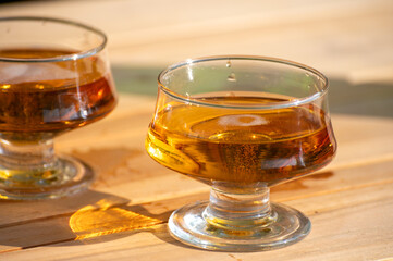 Tasting of french apple cider brut in glass made from new harvest apples outdoor in sunny orchard