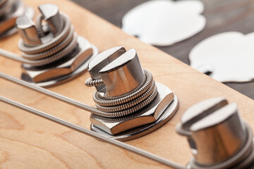bass guitar headstock tuning post macro closeup