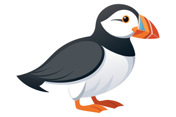 Cute atlantic puffin bird vector art illustration