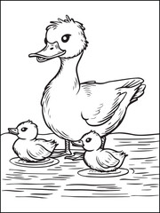 Duck Coloring Pages- Duck for children colouring activity