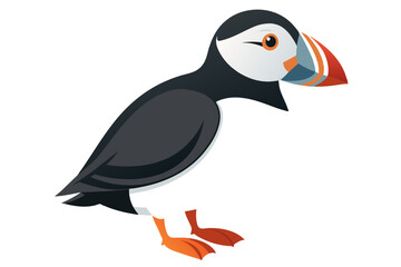 Cute atlantic puffin bird vector art illustration