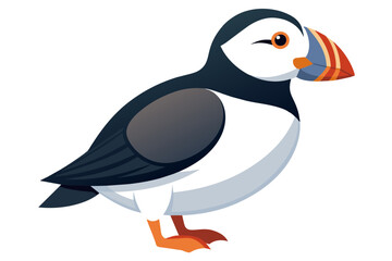 Cute atlantic puffin bird vector art illustration