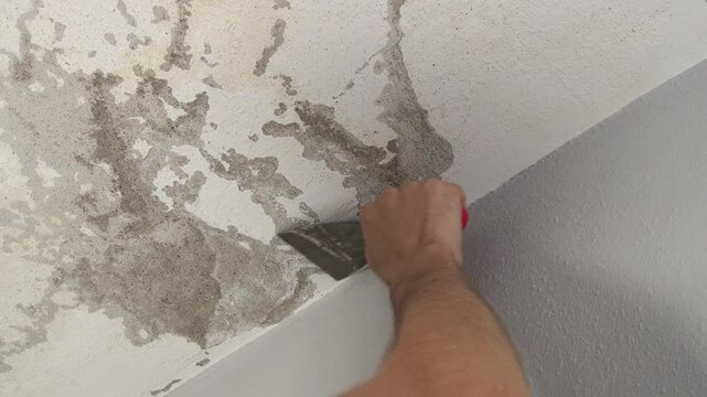 Close up view of craftsman scraping the surface of the leaking ceiling with a spatula to prepare the roof for painting.