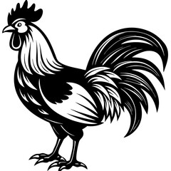Rooster isolated vector file logo design	
