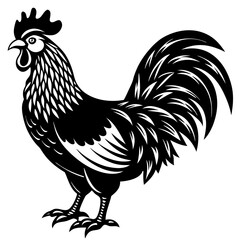 Rooster isolated vector file logo design	
