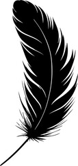 Obraz premium feather isolated on a white background