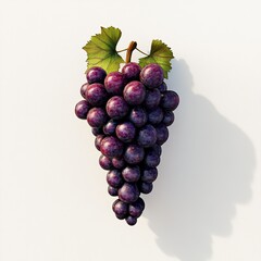 Fototapeta premium Single grape cluster isolated on a white background, featuring realistic textures and vibrant colors, with shadow detail enhancing the depth