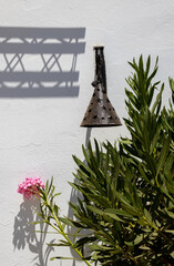 Still life with a lamp and oleander plant, Djerba, Tunisia