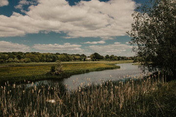 Dutch Landscape