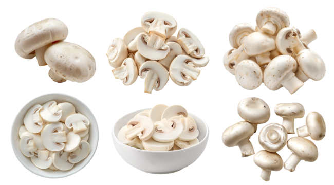 White champignon button Agaricus bisporus mushroom fungus fungi vegetable, many angles and view side top front bowl slice isolated on transparent cutout, PNG file. Mockup template for artwork design