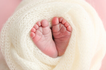 The tiny foot of a newborn. Soft feet of a newborn in a white woolen blanket. Close up of toes, heels and feet of a newborn baby. Studio Macro photography. Woman's happiness.