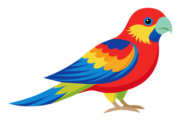 Eastern rosella vector art illustration 