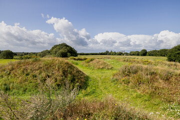 Danevirke was a Danish defense structure. Danevirke was initiated by King Godfred in 808 because he...