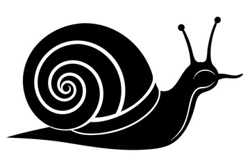 Silhouette vector snail on white background 
