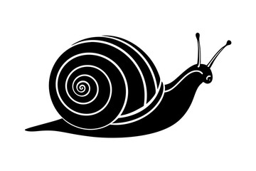 Silhouette vector snail on white background 