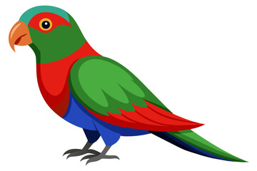 Eclectus parrot vector art illustration