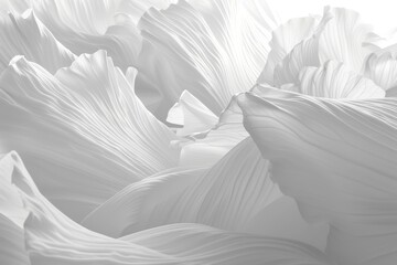 Obraz premium Abstract monochrome background with smooth lines, elegant flow. Image of white drapes or fabric.