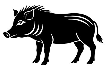 The whole body of the wild boar is the white background