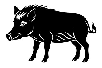 The whole body of the wild boar is the white background