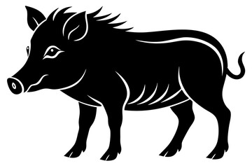 The whole body of the wild boar is the white background