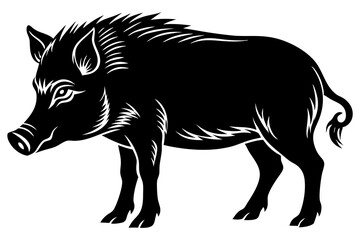 The whole body of the wild boar is the white background