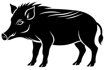 The whole body of the wild boar is the white background
