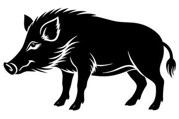 The whole body of the wild boar is the white background
