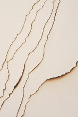 Burned  Torn, ripped paper pieces wave lines. Beige, brown copy space texture background