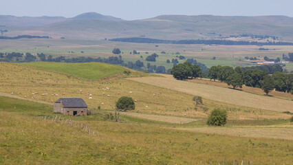 buron traditionnel sur le plateau du Limon dans le Cantal en auvergne dans le Massif Central en été