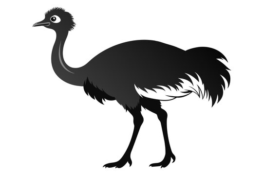 recommend clip art:  Emu side view silhouette black color vector art illustration