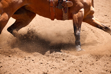 A close up view of a horse running and throwing up dirt all in focus with room for text.  No people.