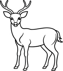 Delightful Deer Colouring Book perfect for kids to explore their artistic side
