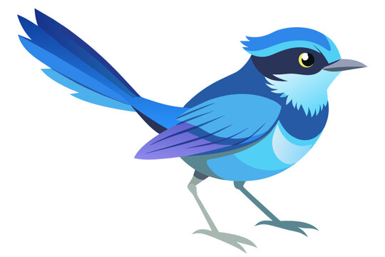 recommend clip art: Fairy wren vector art illustration