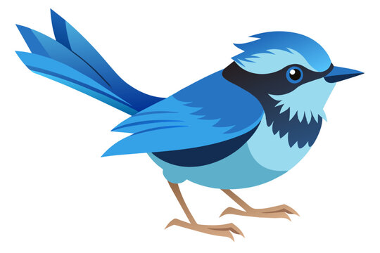 recommend clip art: Fairy wren vector art illustration