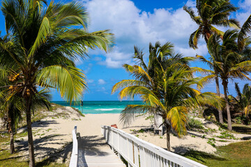 Picturesque view to tropical beach with white sand and coconut palm trees. Wooden path to ocean coast, tourist resort on Caribbean island