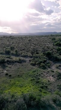 Natural landscape with green plants and bushes, mountains and a cloudy sky in the background. Panoramic aerial drone view, pan to the left, in a rect angle. Vertical video. 