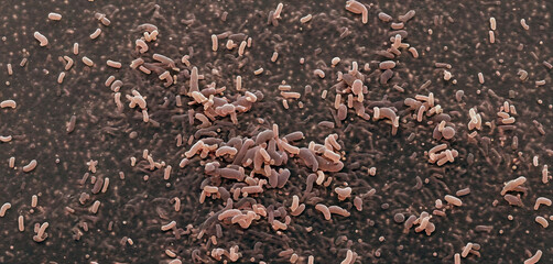 Unicellular organisms or protozoa, single-celled organisms microorganisms such as archaea, bacteria or protists swim in water