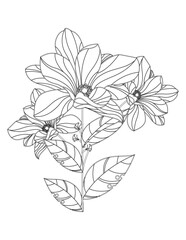  Floral pattern for coloring book. Flower coloring book Page. Vector black and white coloring page for colouring book. Leafs and flowers in monocrome colors. adult coloring book. Adult book